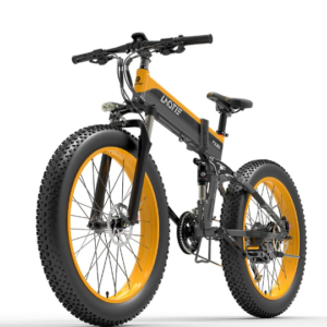 Biciclete Electrice